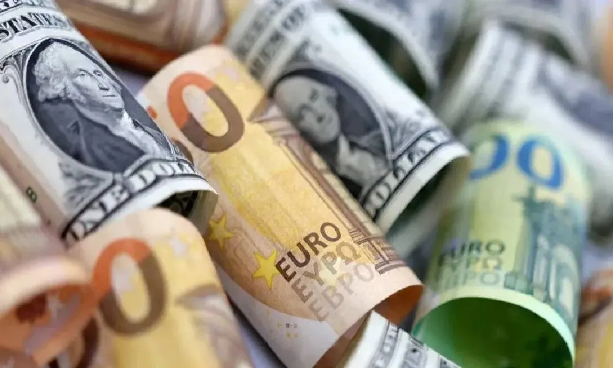 Dolar ve Euro Kurlarında Güncel Seviyeler: TCMB Efektif Kur Verileri